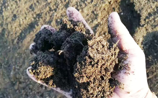 發(fā)酵豬糞有機(jī)肥的具體操作流程與好處