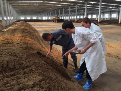 有機肥怎樣發酵才算正確