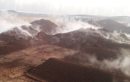 怎么判斷羊糞是否發酵腐熟有哪些優點