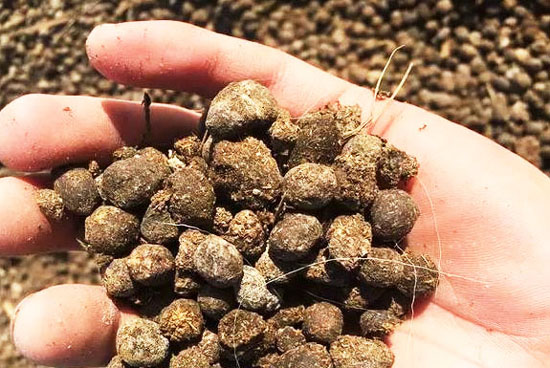 羊糞有機(jī)肥的發(fā)酵方法和使用優(yōu)點