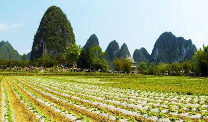 牛糞發(fā)酵制作有機(jī)肥詳細(xì)流程