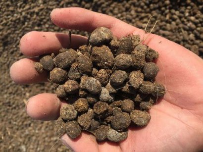 羊糞發酵方法介紹