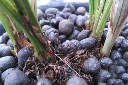 羊糞有機肥的優勢體現在哪里？