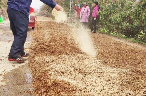 羊糞發酵需要什么發酵劑