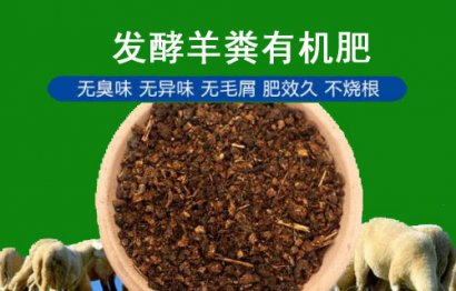 羊糞究竟怎么用才更安全？