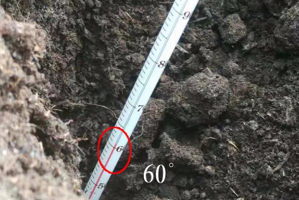 羊糞堆肥多長時(shí)間腐熟