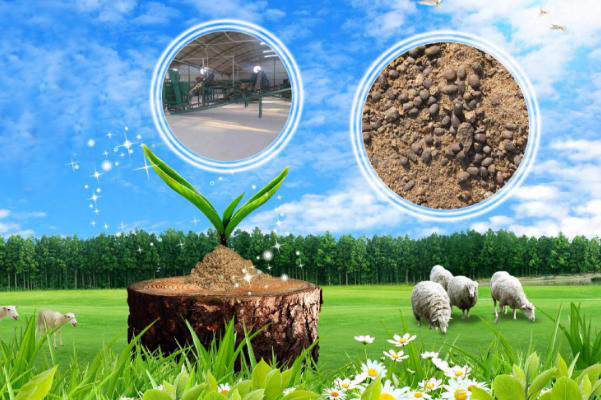 使用羊糞有機(jī)肥真實反饋