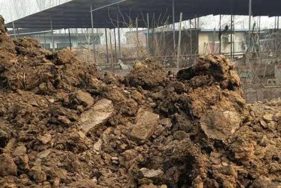 羊糞未腐熟會造成哪些不良后果？