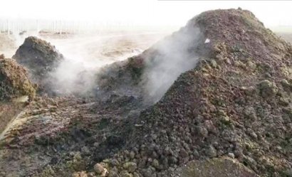 生物菌發(fā)酵羊糞有什么好處？