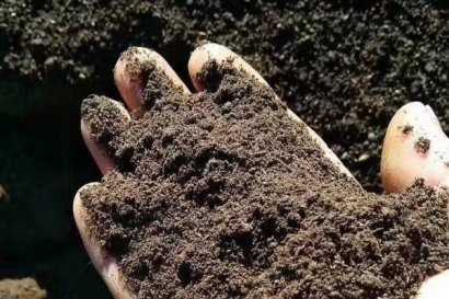 羊糞有機肥到底好不好？好在哪里？