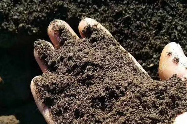 羊糞有機(jī)肥好在哪里