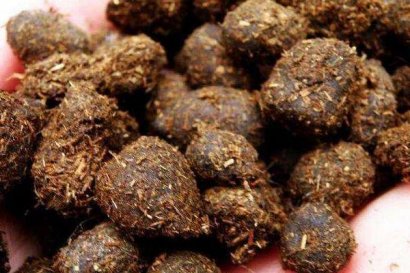 羊糞中出現(xiàn)未消化的飼料是什么原因造成?