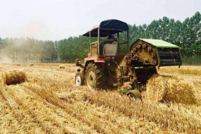 秸稈是直接還田還是有其它用途？