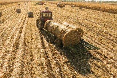 秸稈如何使用發酵菌劑制作有機肥？