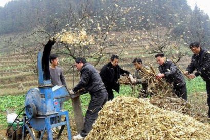 秸稈如何加工？加工后賺錢嗎？