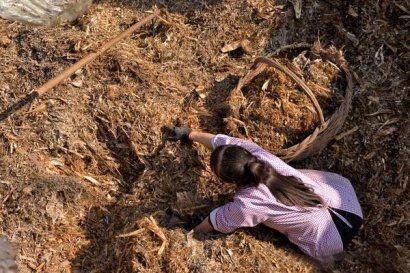 處理秸稈的方法，你知道哪些？