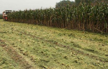 秸稈變廢為寶，農民創業新項目