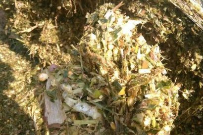 秸稈飼料加工技術有哪些？