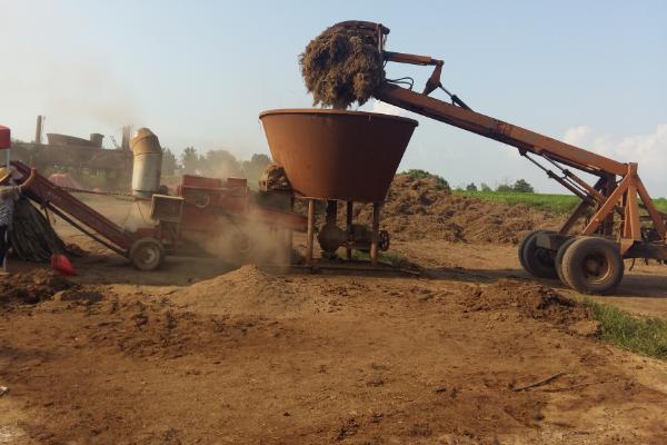 怎么制作優質秸稈飼料