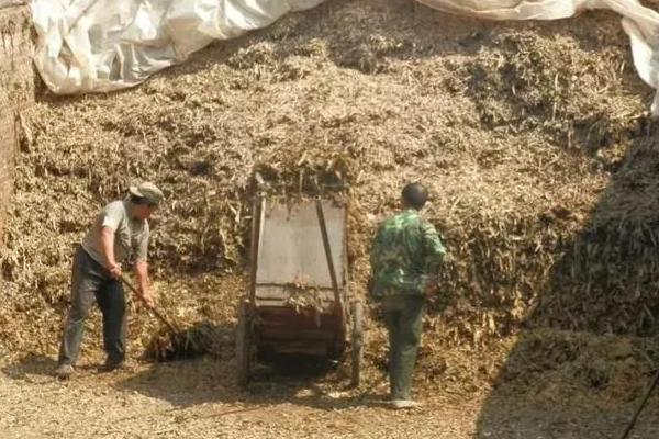玉米秸稈酸貯飼料怎么加工