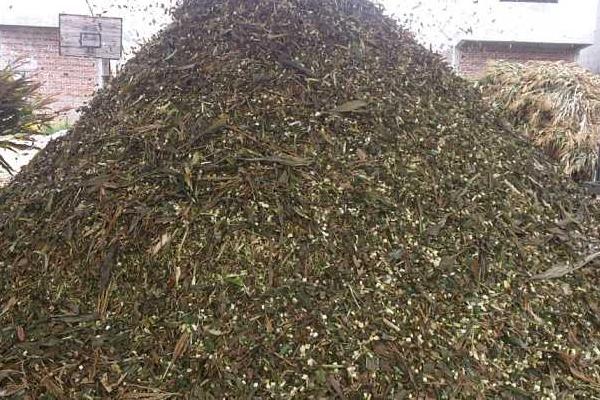 玉米秸稈發酵做飼料的方法