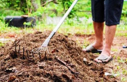 使用腐熟后的糞肥有哪些優點與隱患？