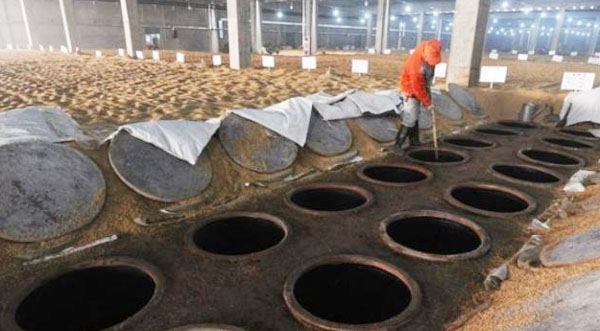 常用有機肥發酵原料有哪些？