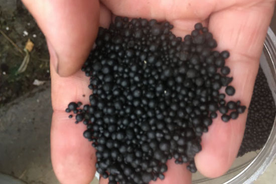 怎樣分辨真假發酵雞糞有機肥料