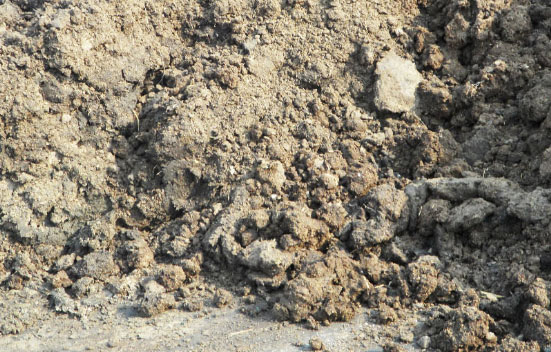 冬季如何發酵雞糞制作有機肥料的方法