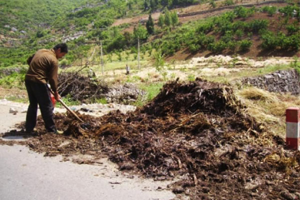 發酵豬糞制作有機肥過程與常見問題