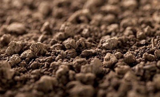 如何使用菌肥才正確，需要注意哪些？