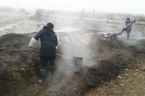 哪些因素會(huì)影響有機(jī)肥發(fā)酵？