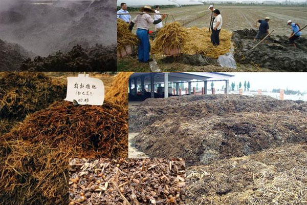 秸稈堆肥發酵技術