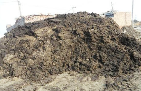 糞便堆漚發酵處理有機肥的方法