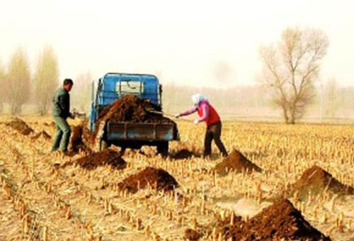 使用幾噸豬糞可以生產(chǎn)一噸豬糞有機(jī)肥？