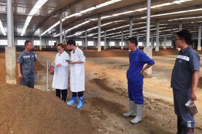 有機肥堆肥發酵需要多少天，要經歷幾個階段？