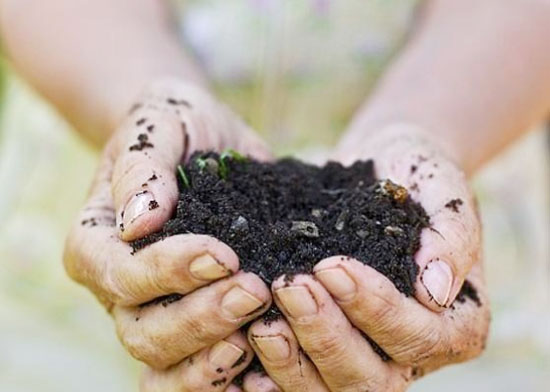 雞糞堆肥發(fā)酵生產(chǎn)有機肥的方法，需要經(jīng)過哪些階段？