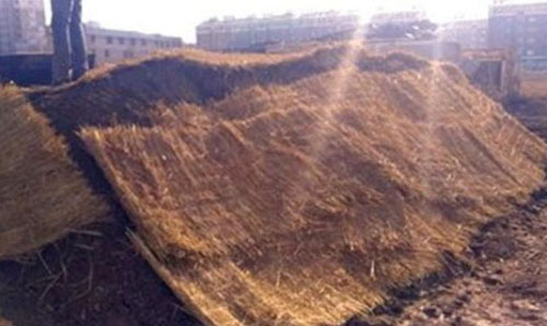 有機肥堆肥發(fā)酵生產(chǎn)技術(shù)