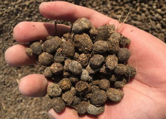 使用羊糞發酵制作有機肥工藝技術